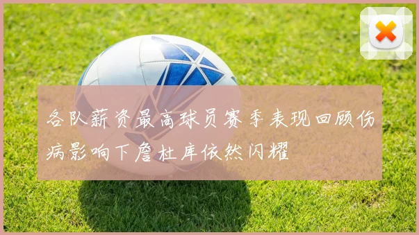 各队薪资最高球员赛季表现回顾伤病影响下詹杜库依然闪耀